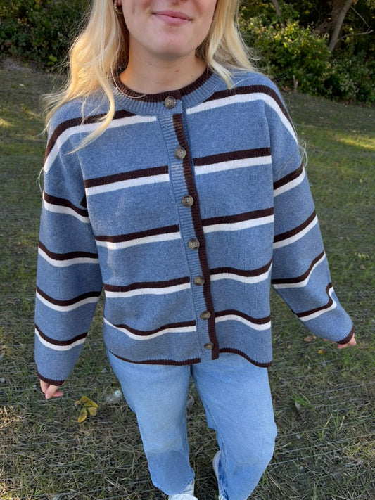 Daydream Cardigan in Blue